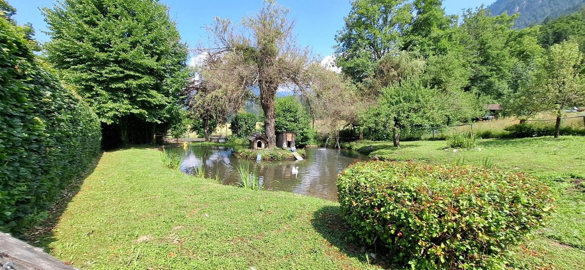 Ferienwohnungen Schloss Wasserleonburg Nötsch Zewnętrze zdjęcie